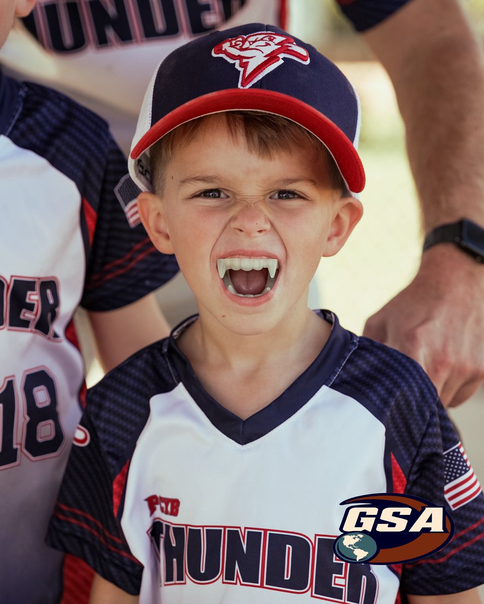 Global Sports Alliance Baseball tweet media