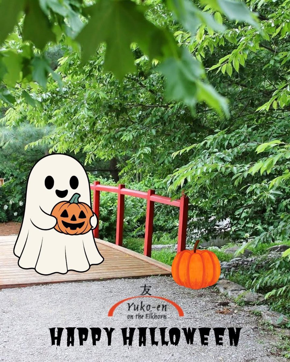 ☘️aiiKEN72*Garden☘️AG202507 Adizero Goukana - Victory Yellow | UP THERE