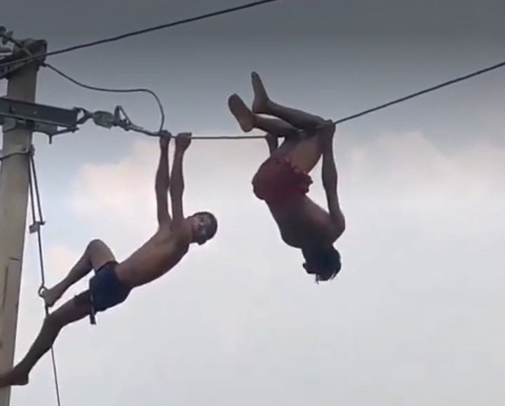 UEDCLGBTQ is now playing with us🫩