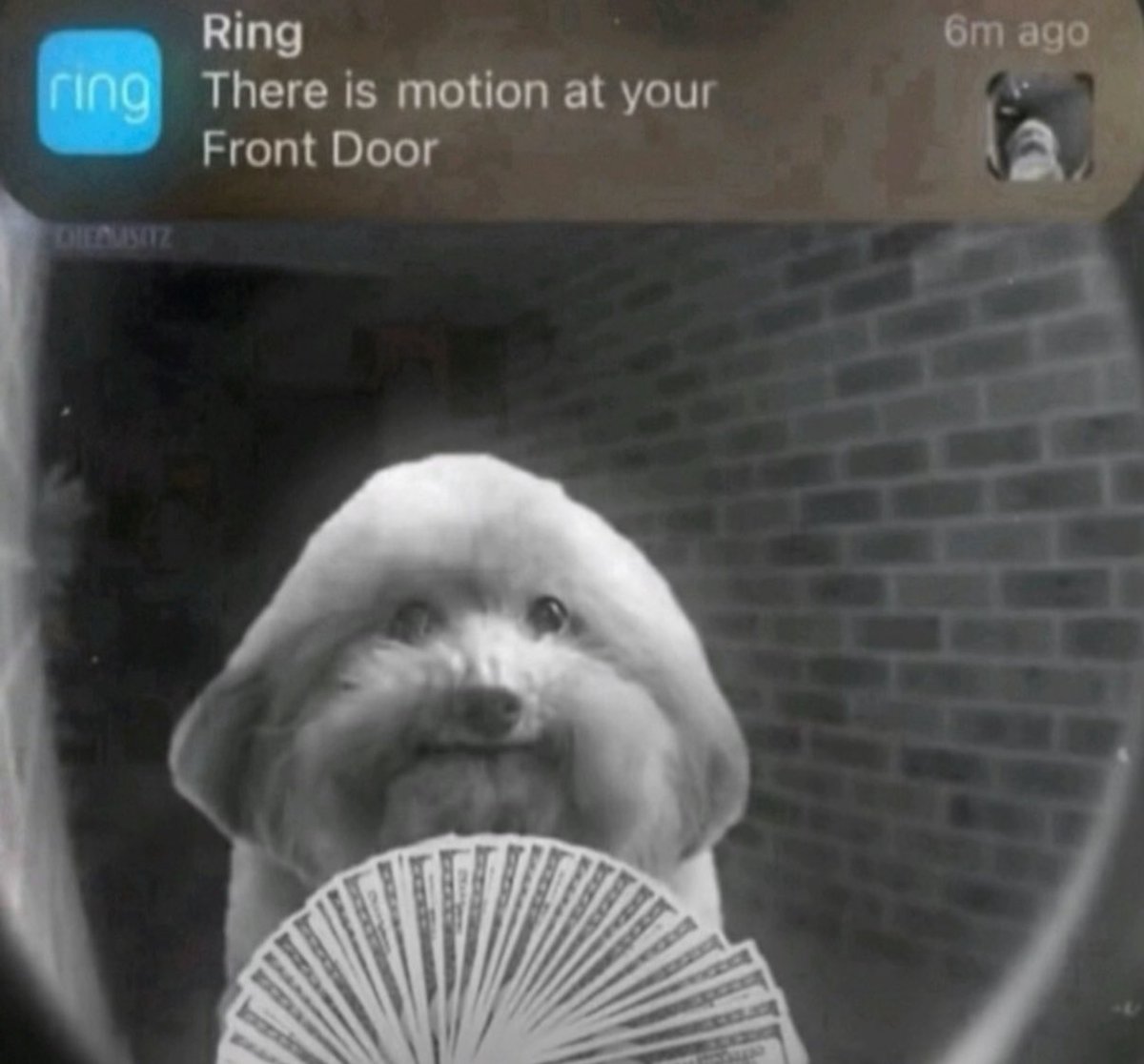 Ring ring