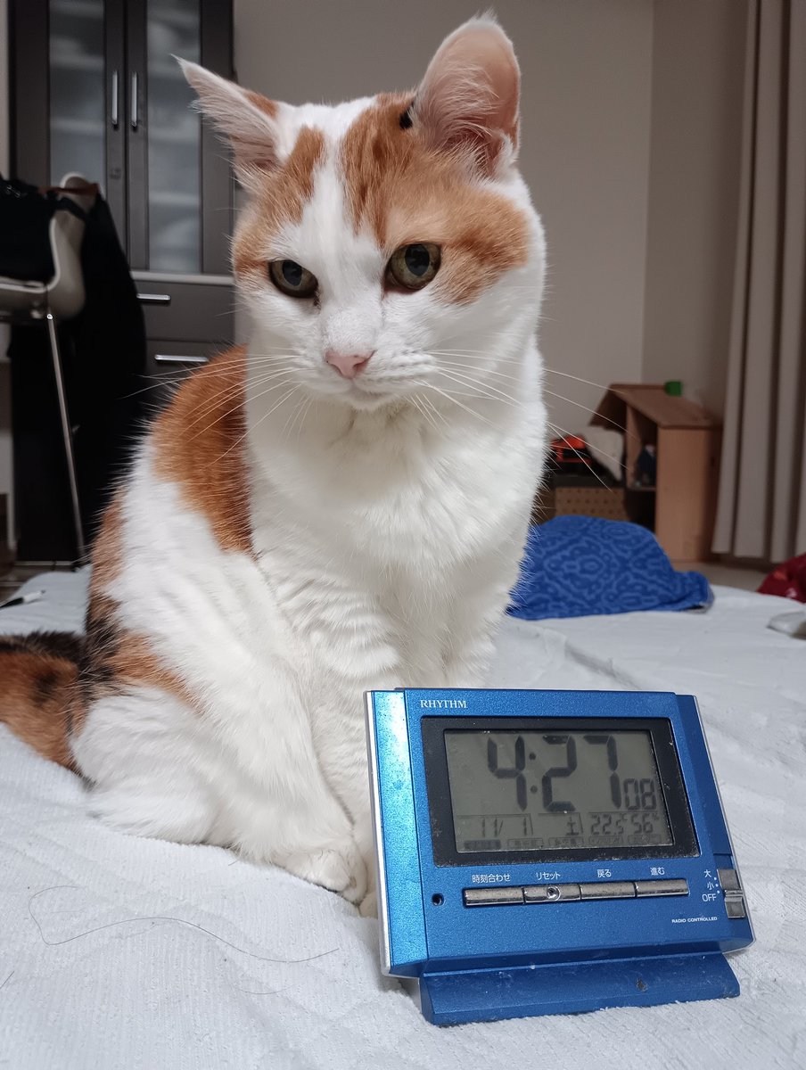 とも@筋トレサラリーマン on X