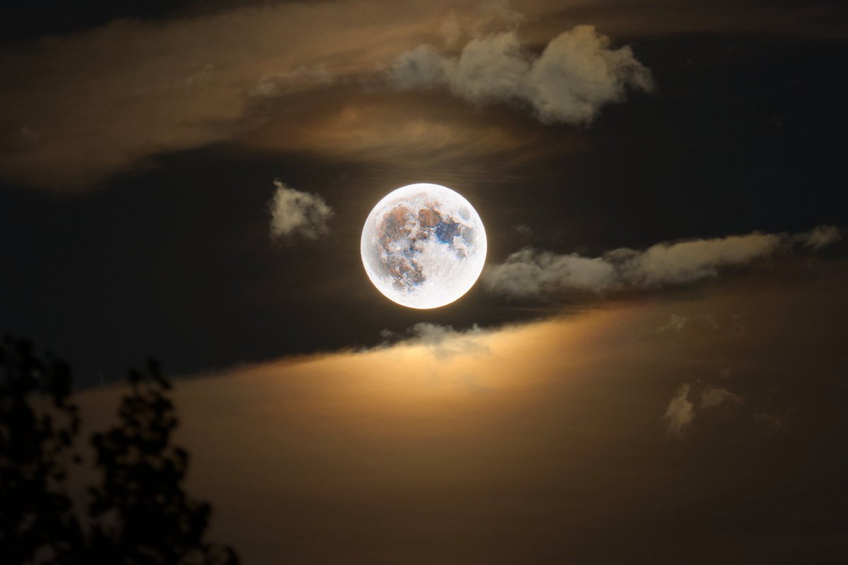 Jay 🌒 tweet media