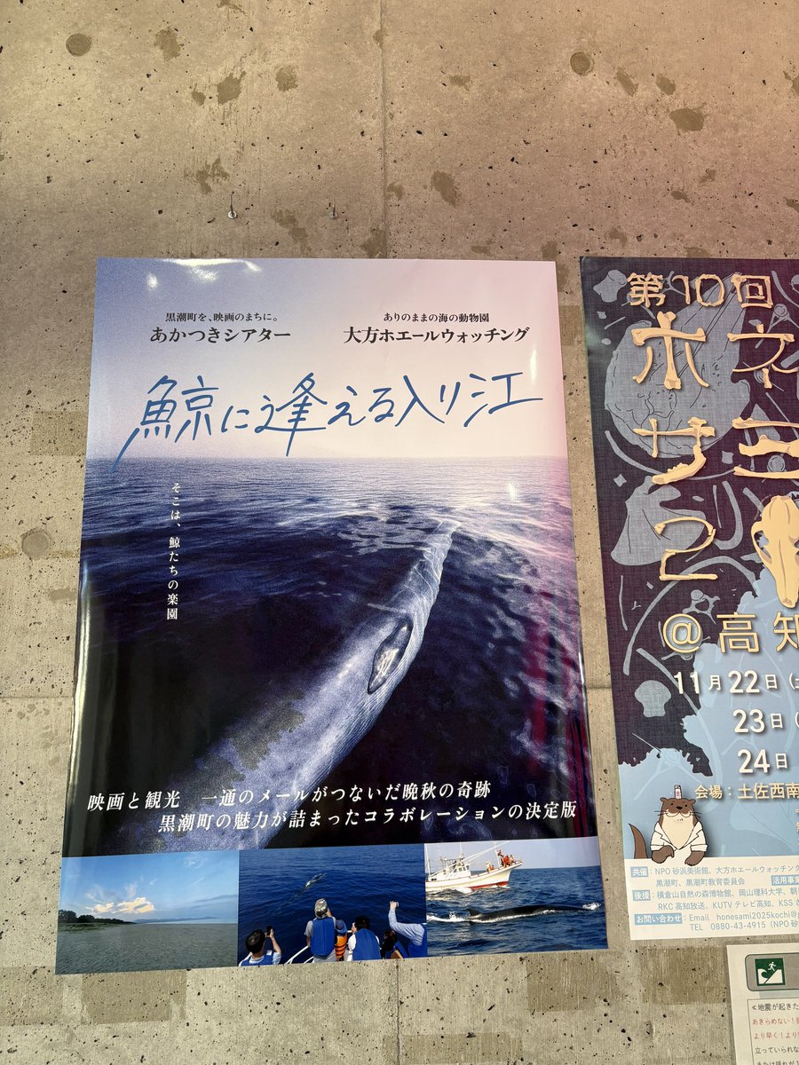 新品CD 夜子ママ&オアシスガールズ　宇宙音頭 新品CD 夜子ママ&オアシスガールズ 宇宙音頭 新品CD 夜子ママ&