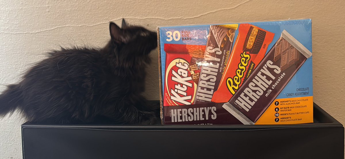 Now that I live somewhere with trick or treating I am committed to being the cool house. We don’t get a lot of kids so I want the ones who do come to get something good :)