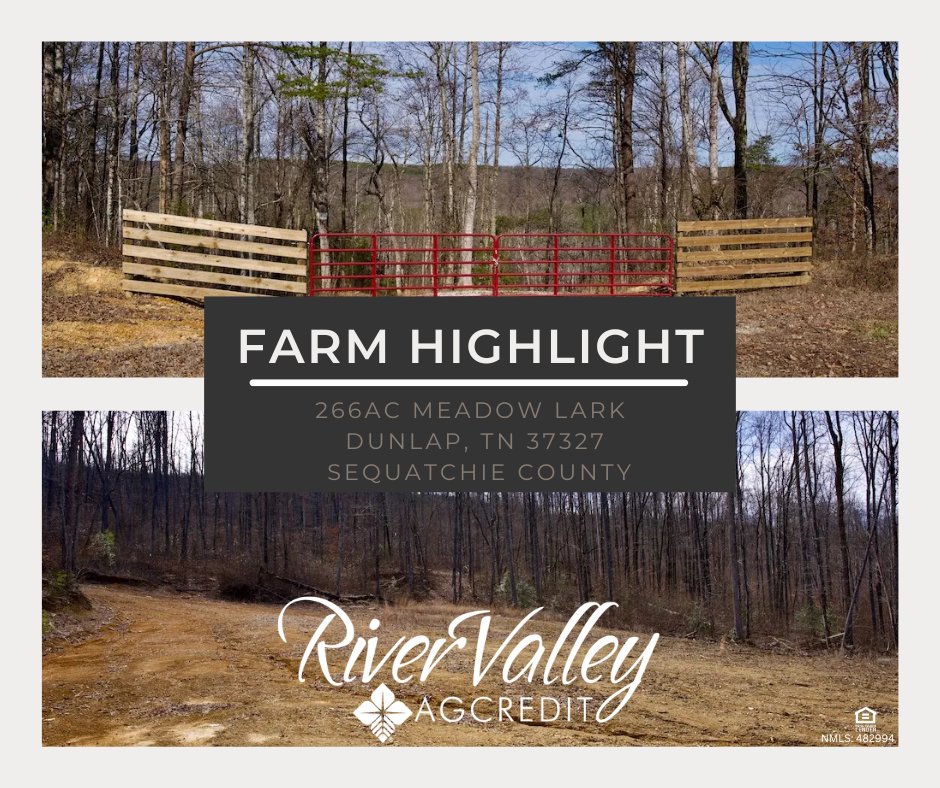 Check out this incredible 266-acre property now available! Whether you're looking to invest, build, or hunt, this land offers endless possibilities.
💰 Ready to finance your purchase?
RVAC is here to help! Call us at 877-422-4203 or apply online at 🔗rivervalleyagcredit.com
