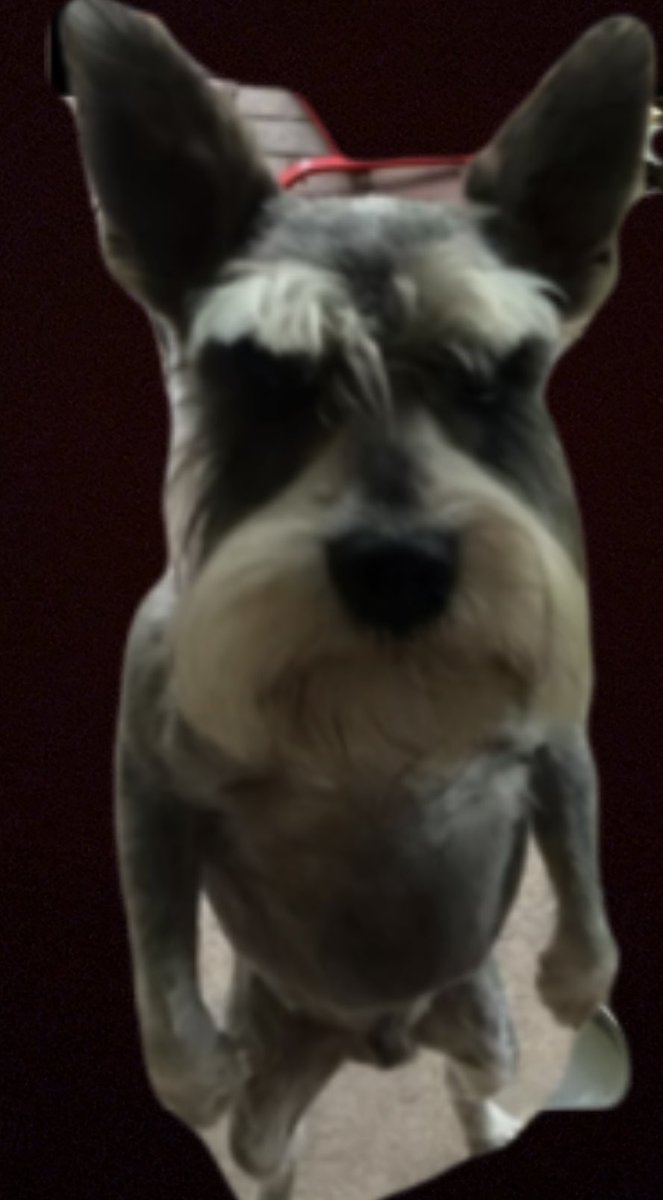 Question number one who are you fucking yoinking yoinking yoinking to you