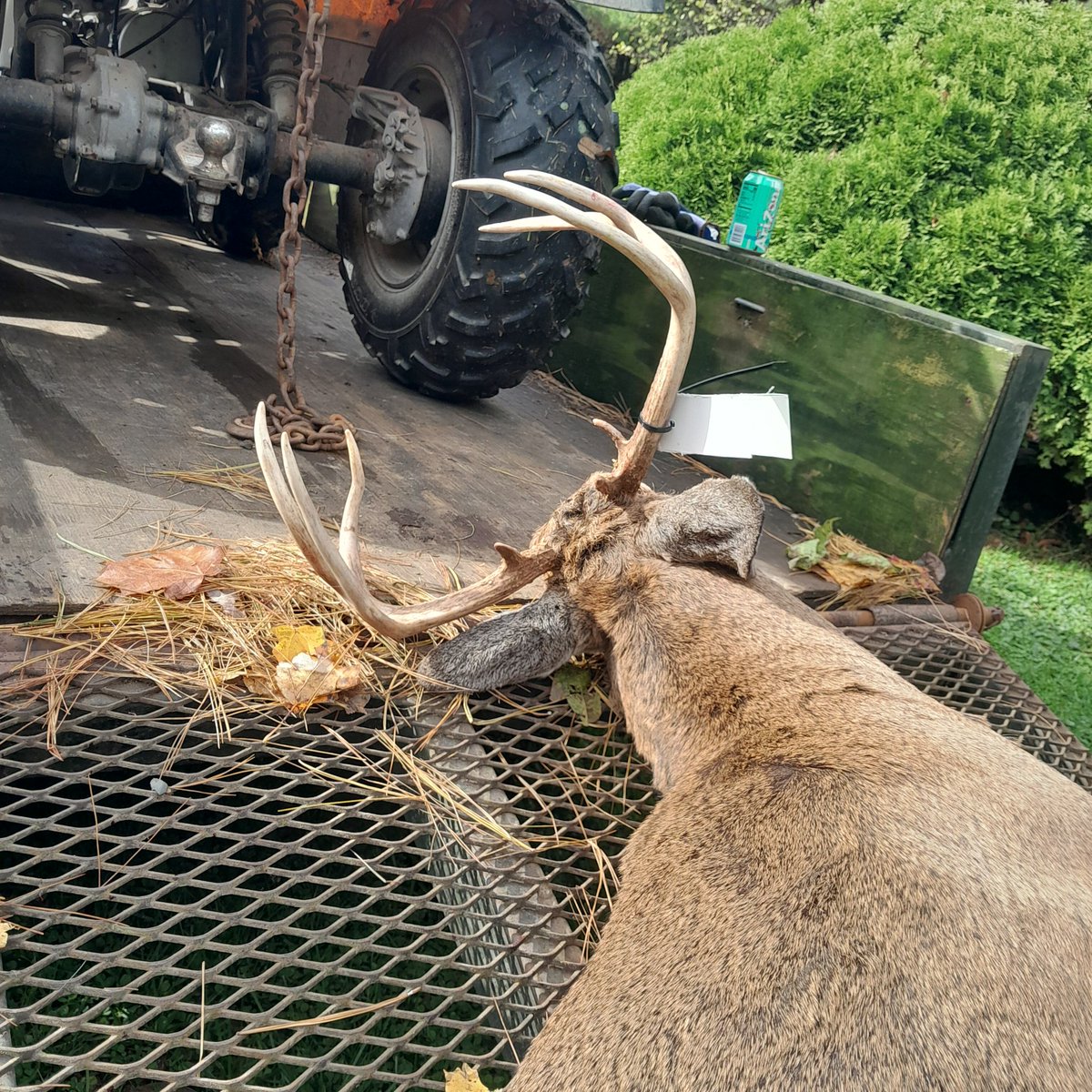 bsprinter28's tweet image. Knox county. 10-31-25.