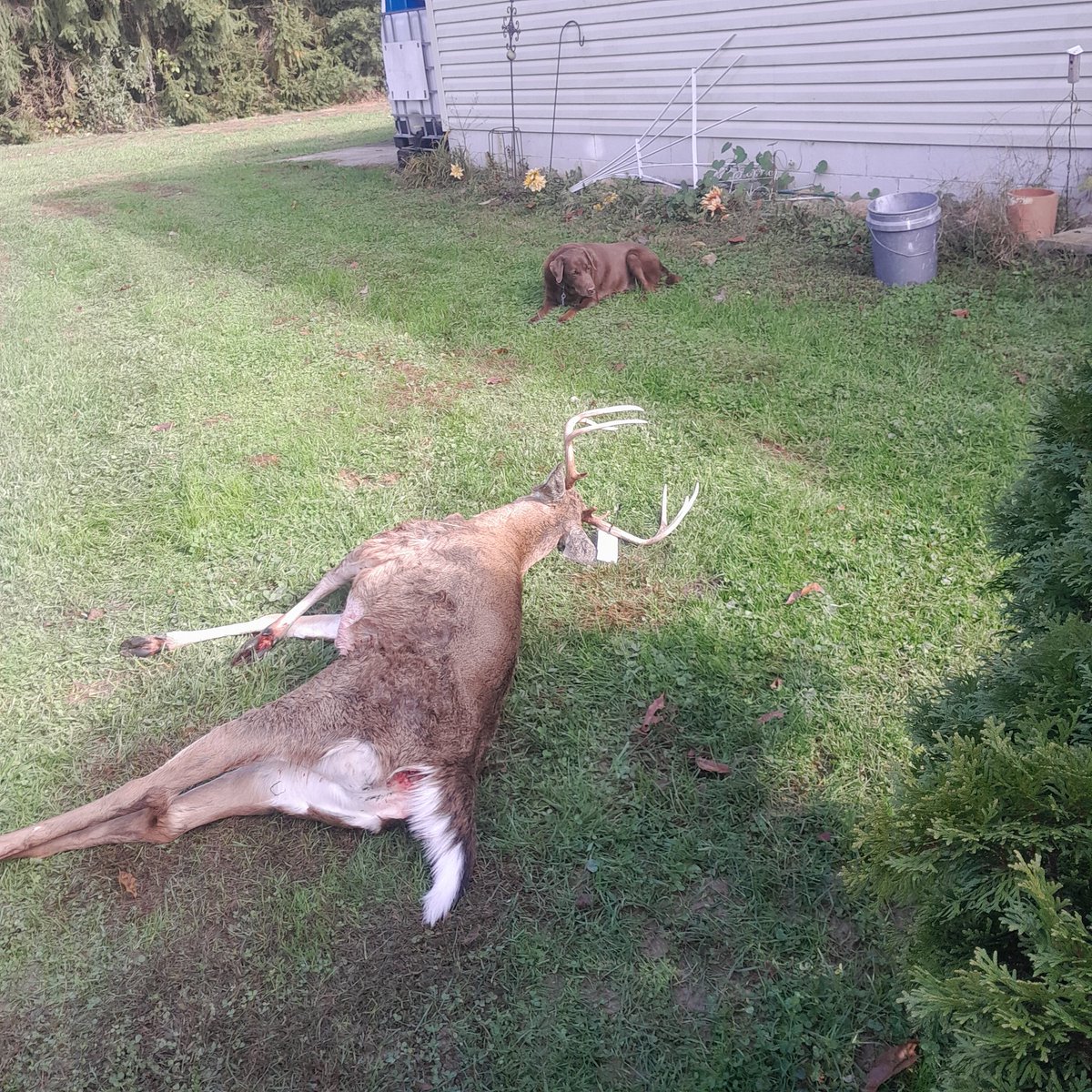 bsprinter28's tweet image. Knox county. 10-31-25.