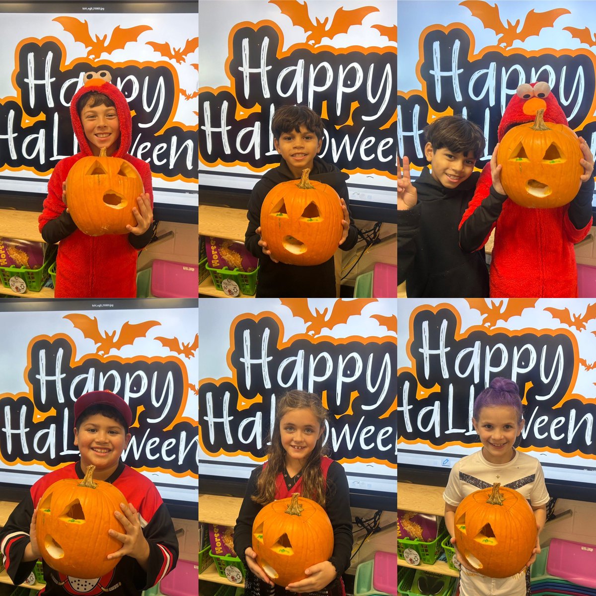 Ms_Carroll tweet media