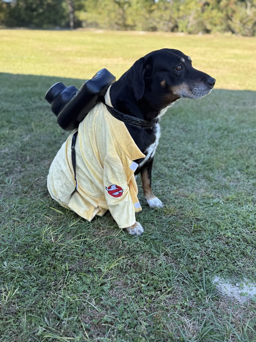 Ghostbuster Pedro lol