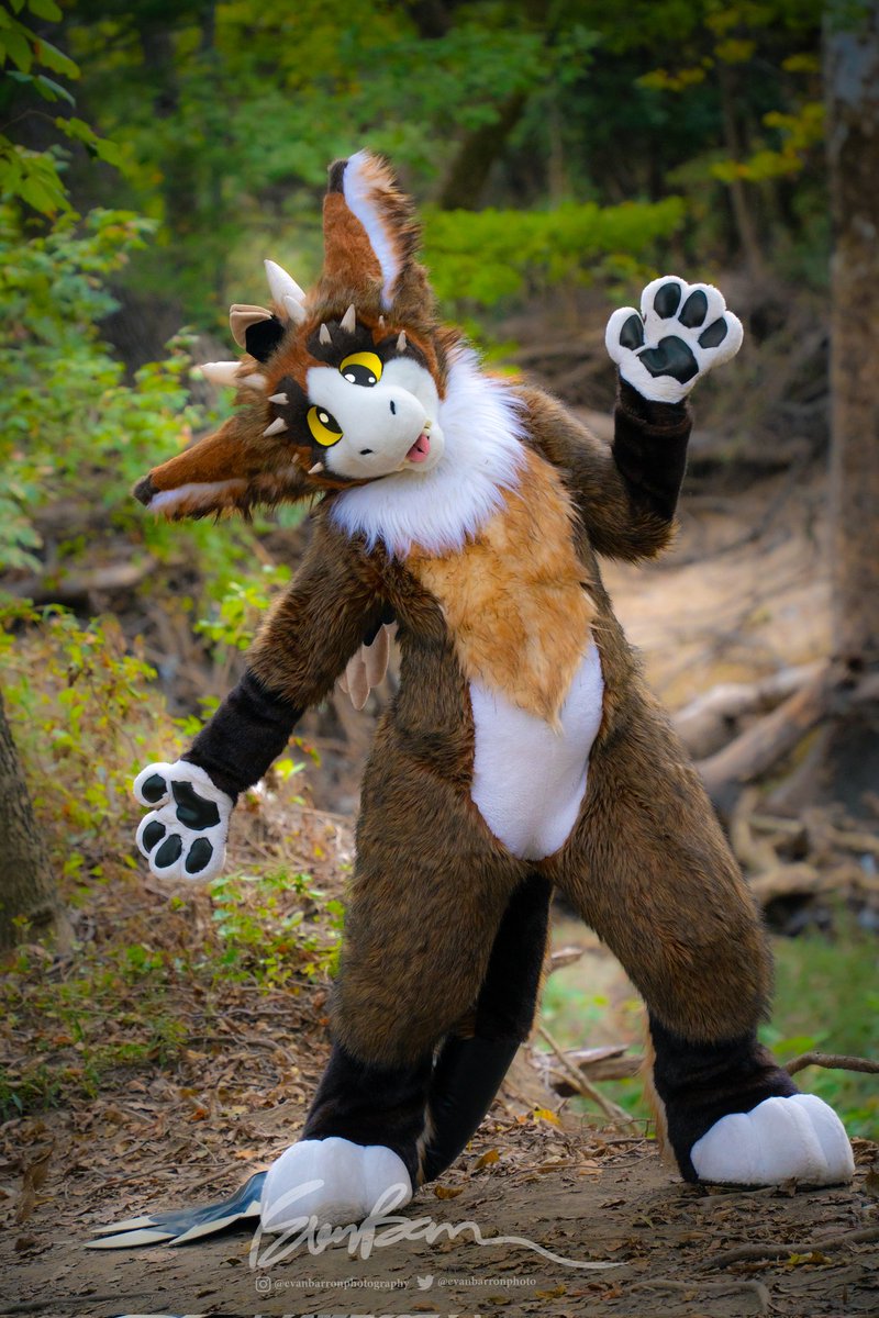 Happy #FursuitFriday everyone and Happy Halloween 🎃 
Photographer 📸 Evan Barron