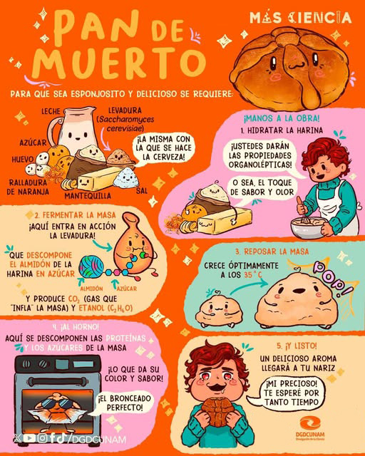 ¿Qué hace al pan de muerto 🏵️🥖 tan esponjosito y delicioso? @CienciaUNAM recorre su tradición y sabor > acortar.link/EGi9ZA
#DíaDeMuertos 🔸💀🔸
Infografía de <a href="/DGDCUNAM/">Divulgación de la Ciencia, UNAM</a> 👇.