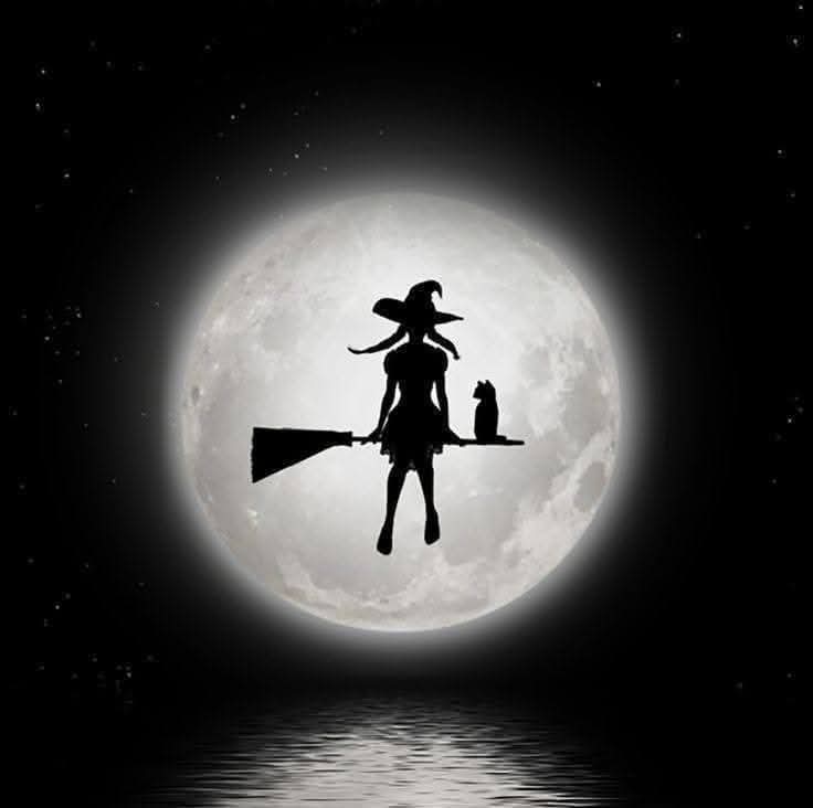 Fernand60577448's tweet photo. Buenas noches. Que tengáis felices sueños 🥰🥰❤️✨️✨️😴🌛🎃🎃 https://t.co/ap9ifdBbYZ