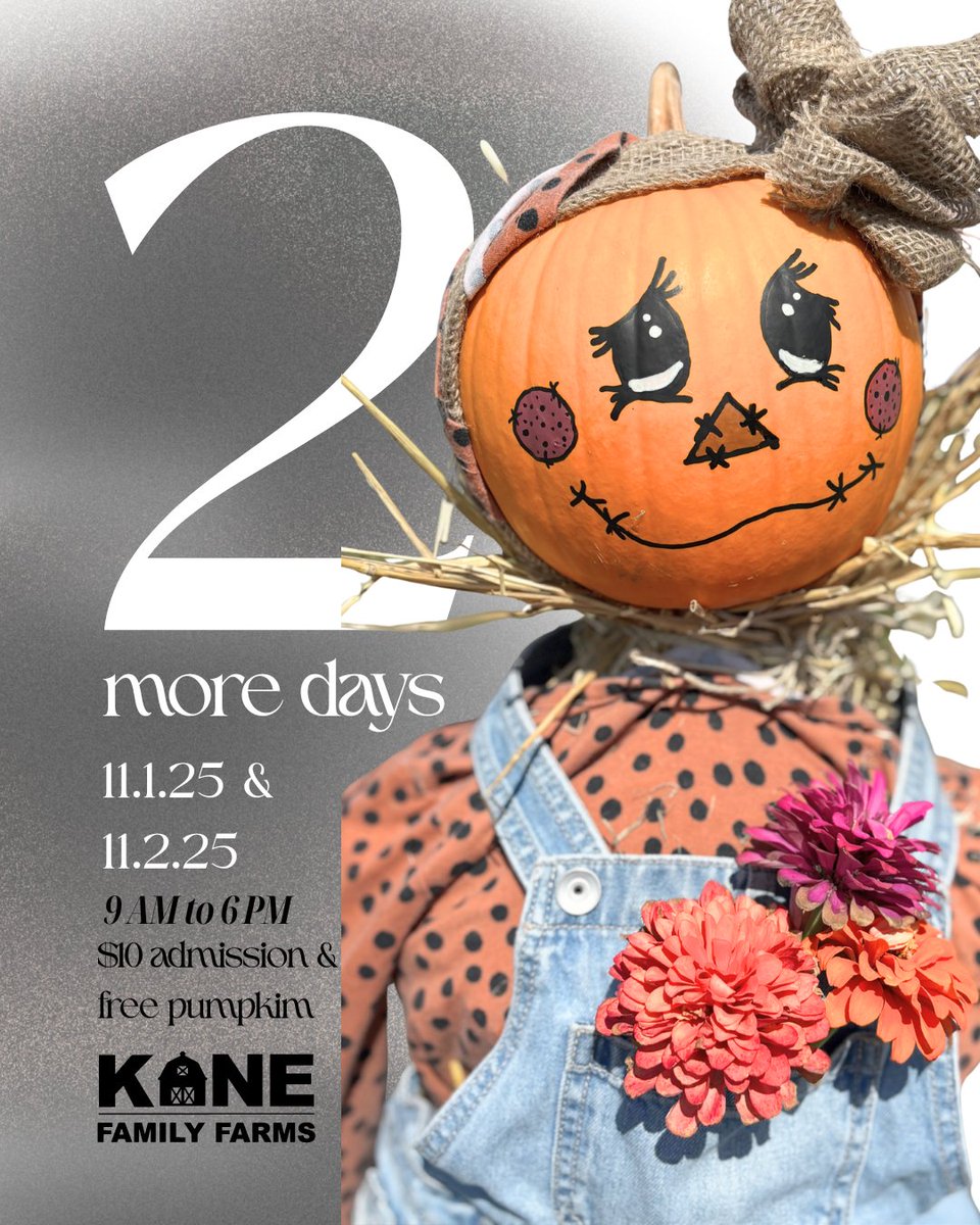 kanefamilyfarms's tweet image. ⏰🎃 The Final Countdown Is Here! 🎃⏰
Only TWO more days to enjoy the farm before we wrap up Season #4! 🍂🌾
Come make the most of the weekend — join us November 1 &amp;amp; 2 from 9 AM to 6 PM for one last round of fall fun, treats, and farm memories! 🧡
#FinalWeekend #KaneFamilyFarms