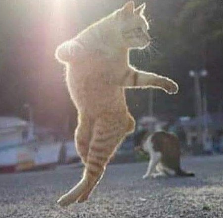 #Amakhosi4Life 🔥🔥🔥🔥🔥🔥🔥🔥🔥🖤✌🏻💛
Sirino.                         Flavio da Silva