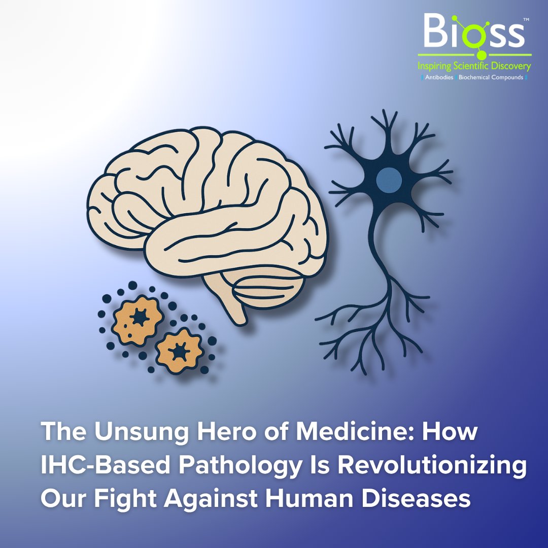 In the landscape of biomedical research, few methodologies have reshaped our comprehension of disease pathogenesis as fundamentally as immunohistochemistry; this technique has become a cornerstone of diagnostic and investigative pathology. 

Read here: hubs.ly/Q03R8VmG0