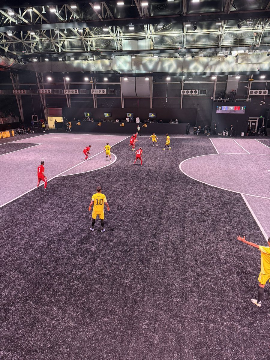 يخرب بيتهم تحسهم يلعبون نهائي كاس العالم