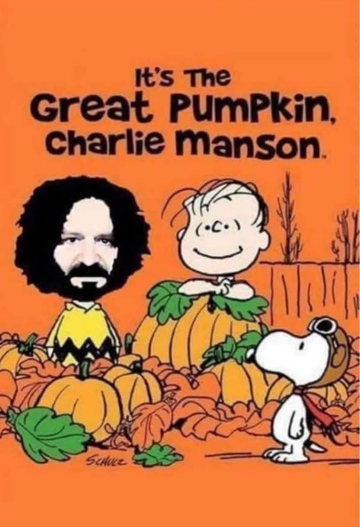 Bil McMaster (@bilmcmaster) on Twitter photo 