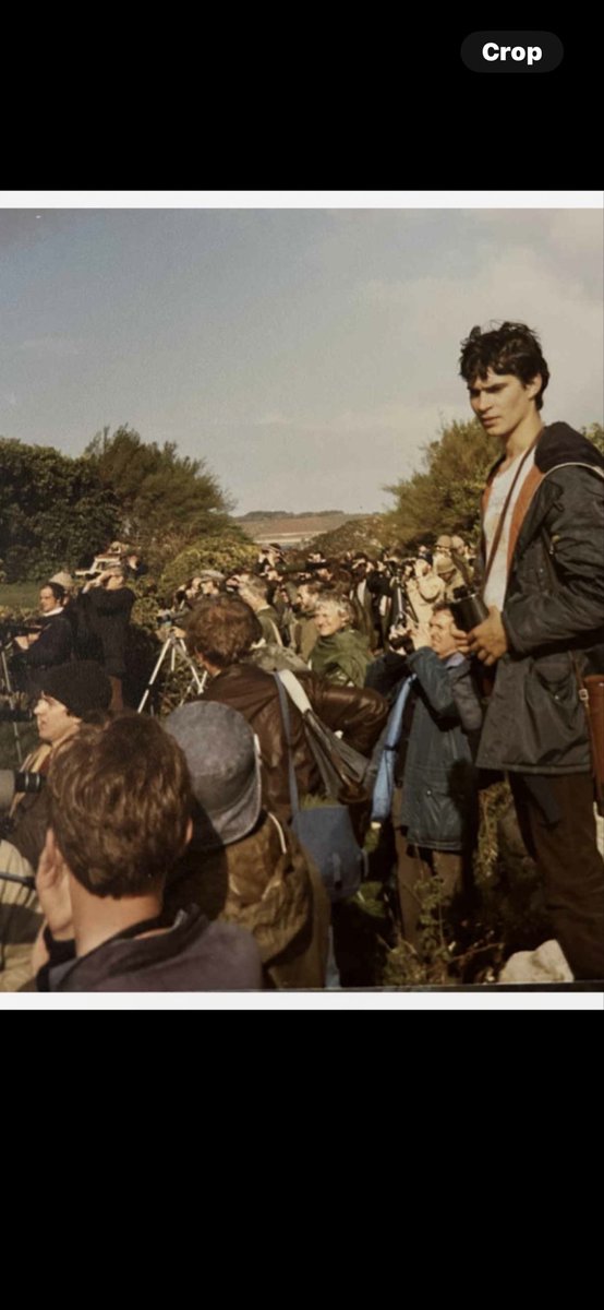 simrob500 tweet media