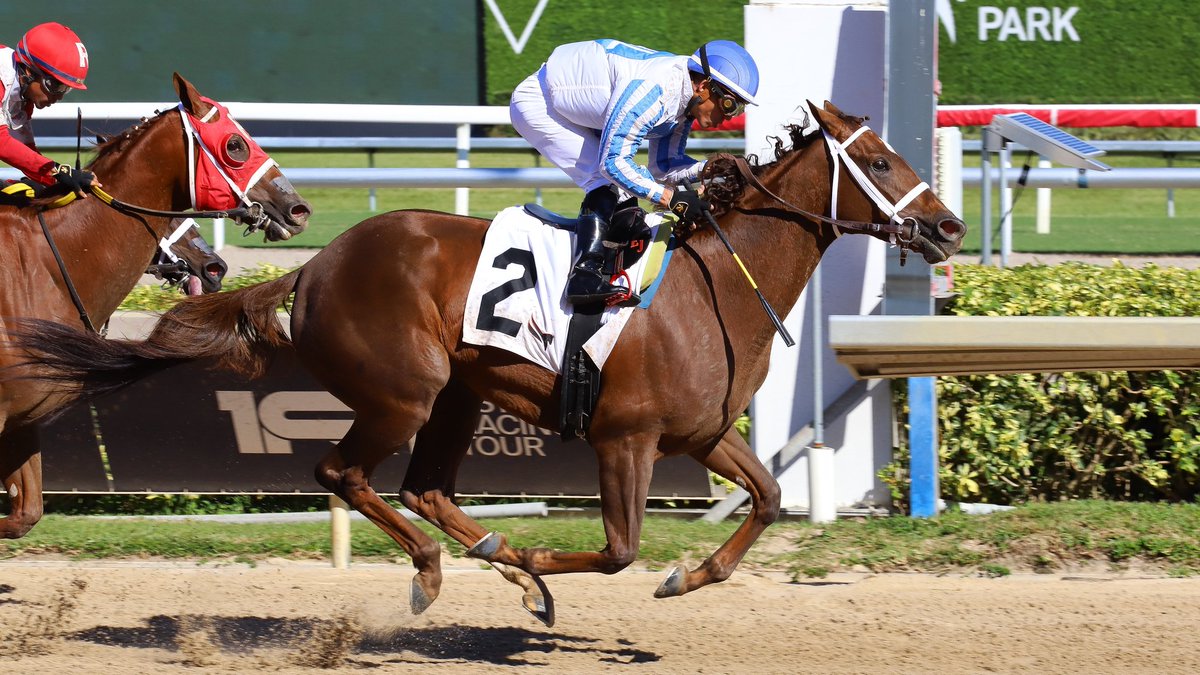 Secret Revenge outruns Hurricane Debbie to grab the victory in race 7, <a href="/JaramilloJockey/">Emisael Jaramillo</a> rode for trainer and owner Michael Lerman. #GulfstreamPark #SunshineMeet