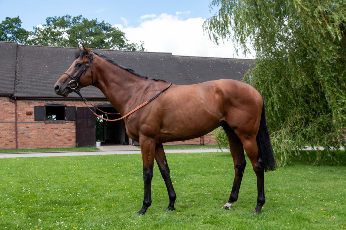 Tonal for <a href="/sue_howell14/">Sue Howell</a> defied top weight and a 5lbs penalty to complete a double by landing the <a href="/BetMGM/">BetMGM 🦁</a> Handicap <a href="/Southwell_Races/">Southwell Racecourse</a> under <a href="/ryankavanagh01/">Ryan kavanagh</a> 

That's our 10th winner in the last 20 days 🏆 - another great month for Team Dominion Racing 🔥 

👇
bit.ly/30sz3Oy
