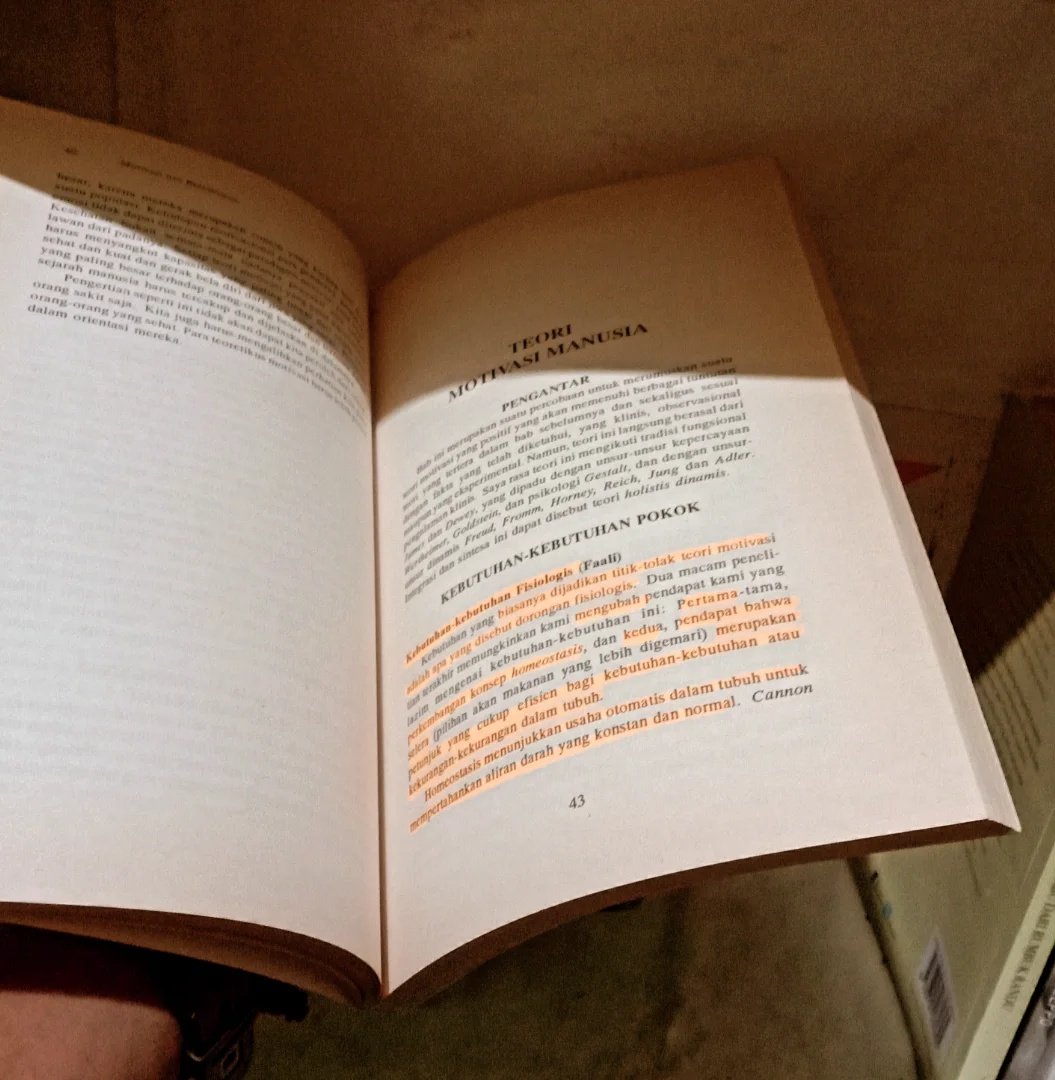 librarygabo tweet media