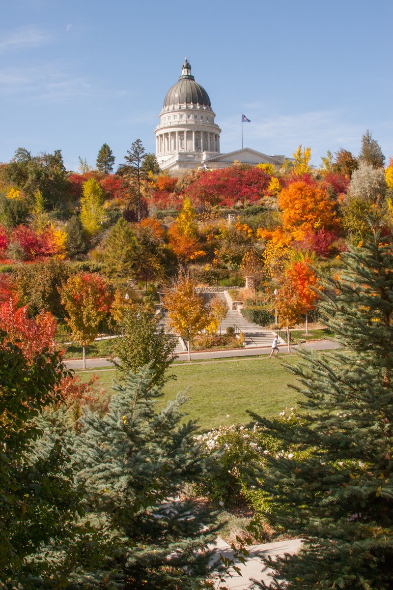 RepWhyte's tweet image. To keep you updated with legislative happenings on the Hill and in our House District, enclosed is my October Newsletter: app.indigov.com/pub/outreach/f…