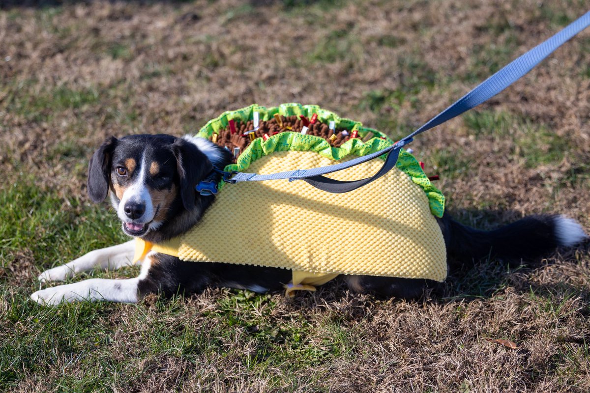 Katie Morrison-O'Day tweet media