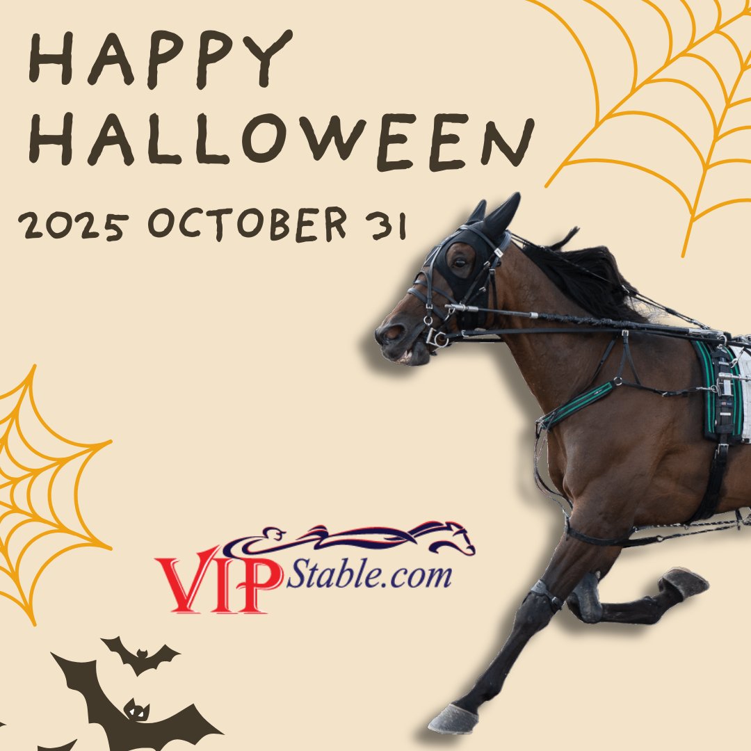 Happy Halloween! #harnessracing #vipstable