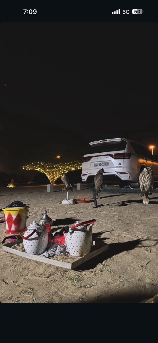 ترا الحياه بصدرها بعض كلمات...
ابتكلم عنها بالنيااااااابه ...
تونسوا ترا الليالي سريعات ... 
ولابد ما يخلي الابن آدم شبابه ...

#راكان_النعيم