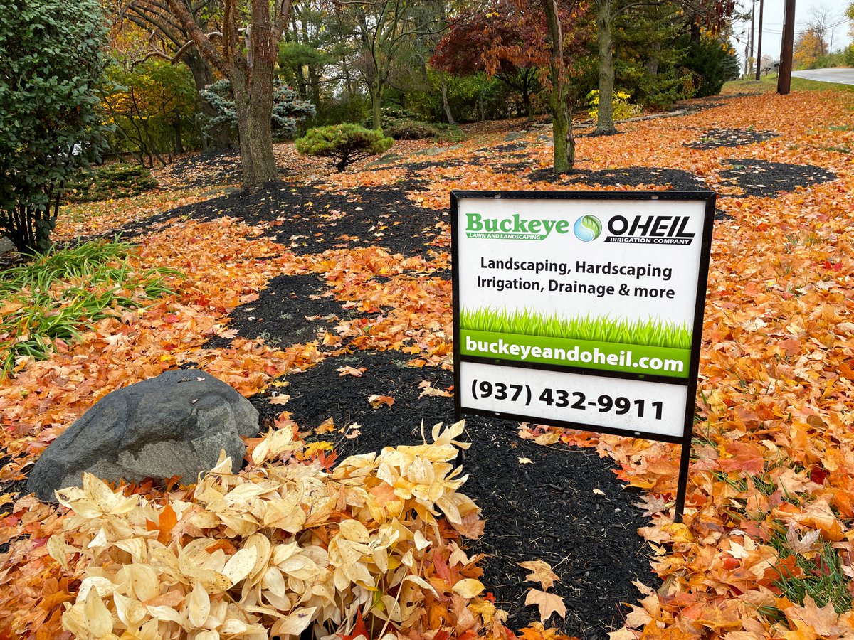 Happy Halloween!! 🍂👻