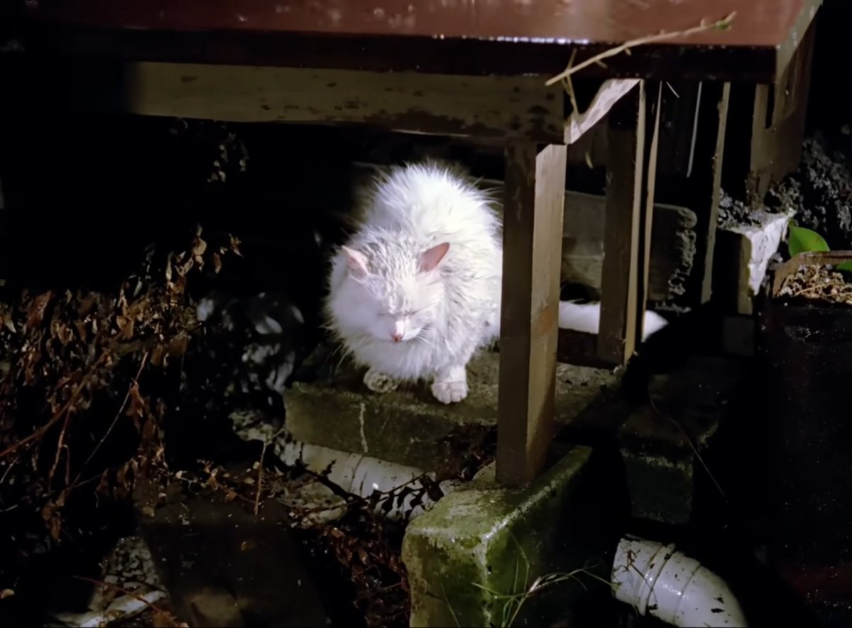 "Sana kavuşmayı özlüyorum."
Hanım (1989)
~hatıradan ibaret kalan şehirde gezintiler