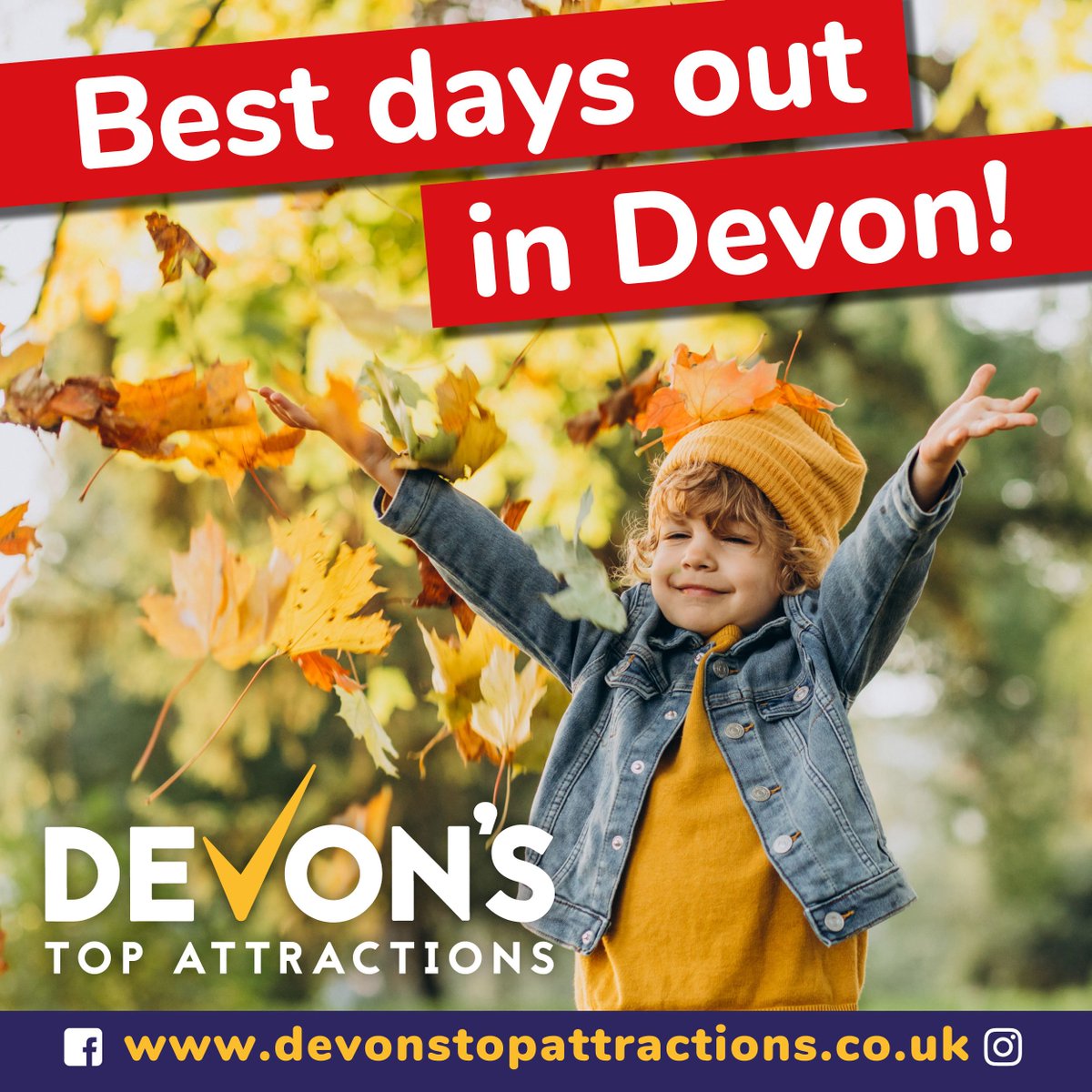 DevonTopDaysOut's tweet image. Make the most of the last few days of half term &amp;amp; Halloween fun! 🎃👻
Pumpkin trails, spooky adventures &amp;amp; family treats await across Devon’s Top Attractions.
Head to the Devon’s Top Attractions website to see what’s on! 🧙♀️🕷️

#DevonsTopAttractions #HalloweenInDevon #HalfTermFun