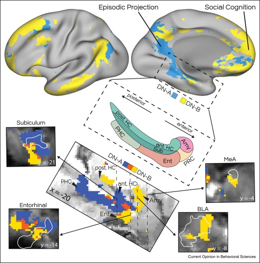 Rodrigo Braga tweet media