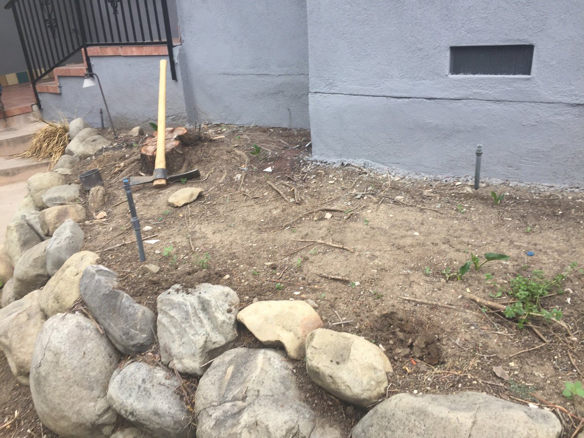 LuisCasasTree's tweet image. Beautiful transformation- Now is the time to prep your outdoor space for winter! Call for a Free Service Quote 
📲 (818)618-4964 

Lic#911437
Arborist#WE9157A

luiscasastreeservice.com

#LuisCasasTreeService #Landscape #LandscapeService #LandscapeMaintenance #Fall #FallPrep