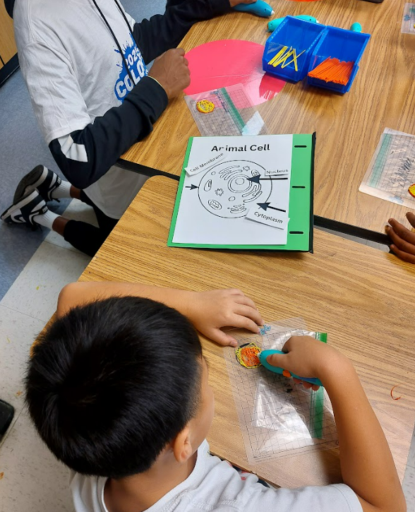 FCS Teaching Museum tweet media