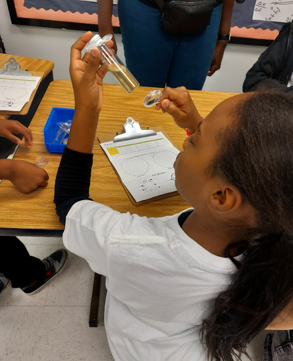 FCS Teaching Museum tweet media