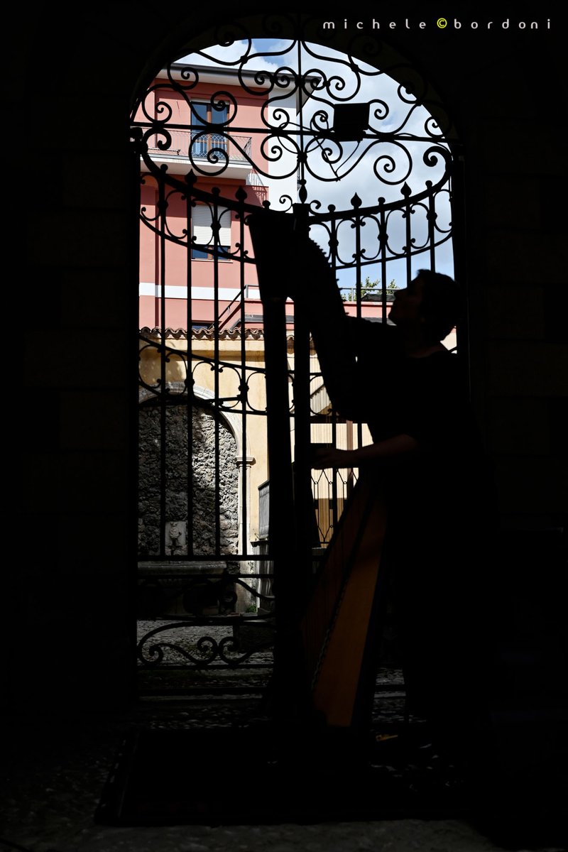 michele bordoni photography tweet media