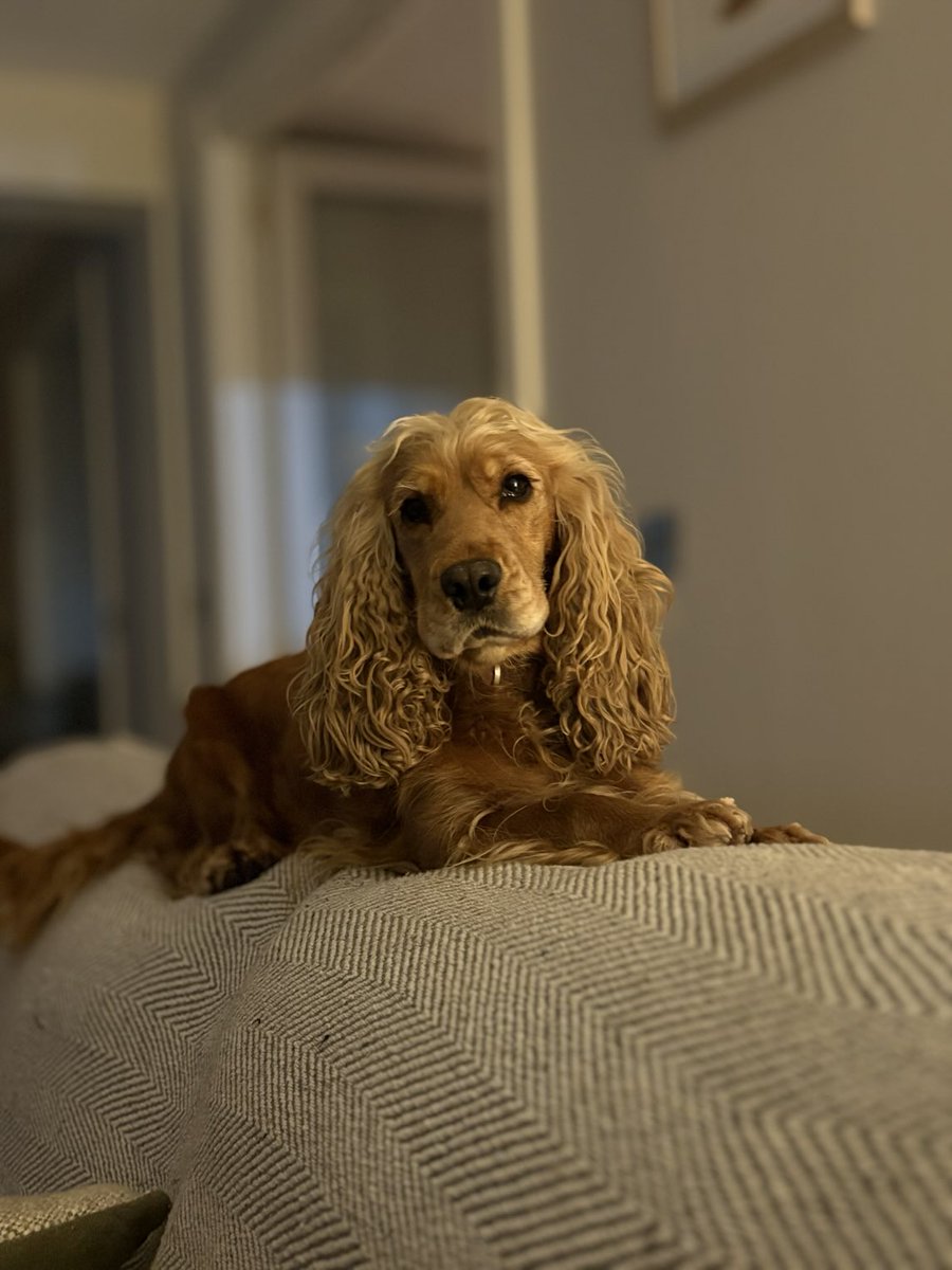 Not very impressed with the fireworks 🎇 tonight….