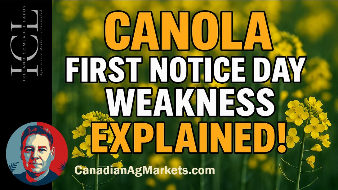 Canola first notice day losses explained.  Watch here:
youtu.be/yWvmIdp85Wc