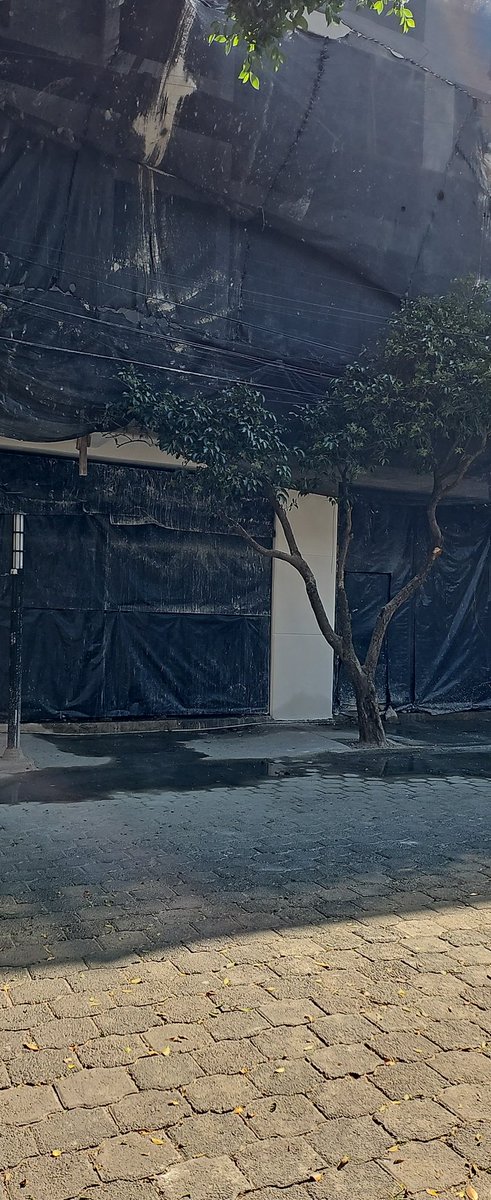 Acción Comunitaria Pedregales tweet media