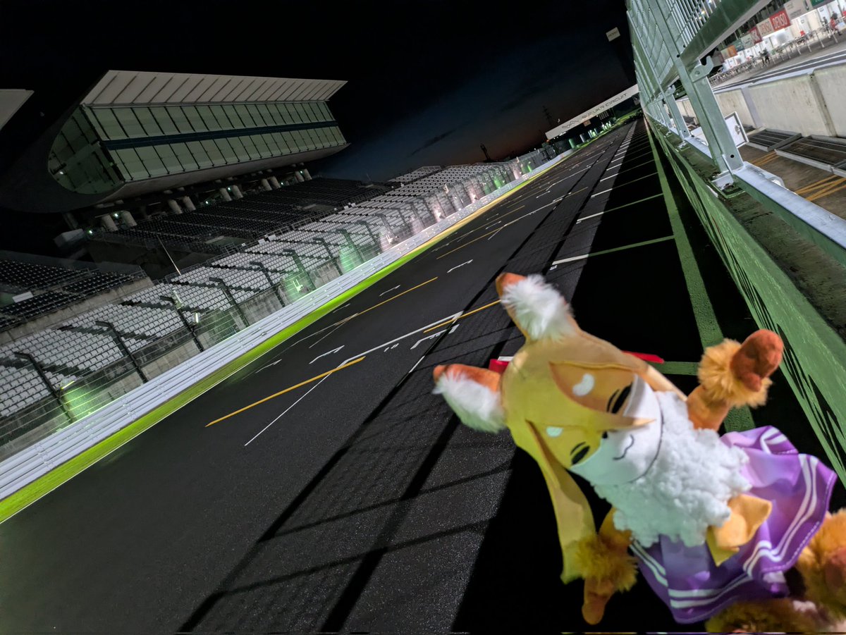 星麦しげ＠限界！スクワット部【部長】 on X