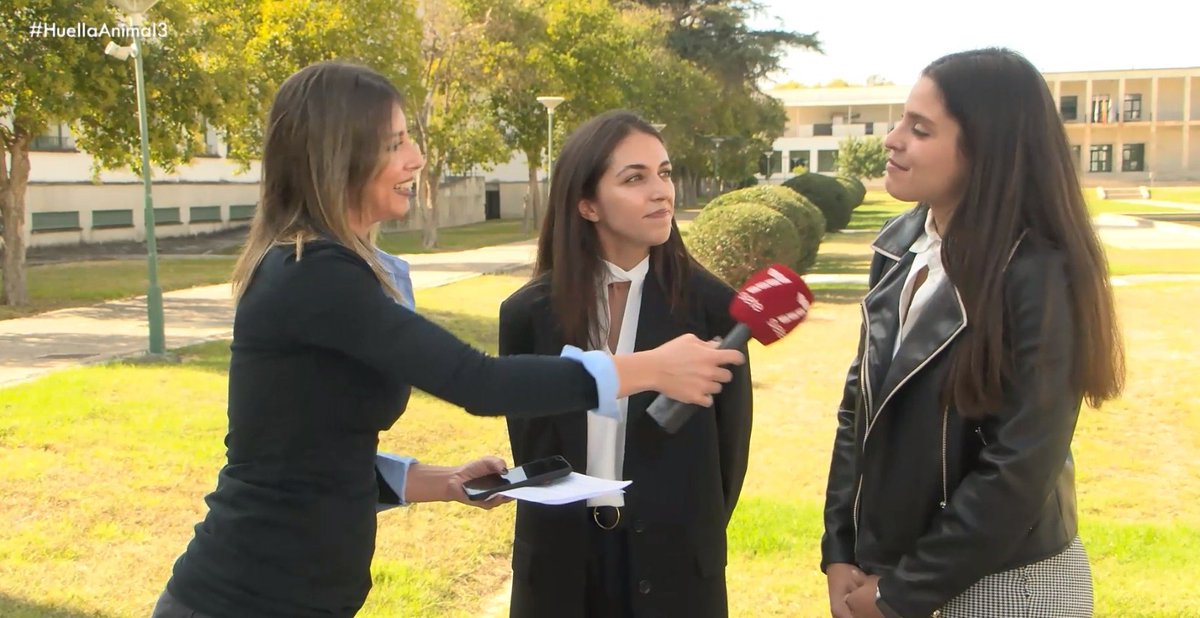 📺 Este domingo a las 11:30 en <a href="/7TVAndalucia/">7TV Andalucía</a>, un nuevo programa de Huella Animal.

🎓 Estaremos en Córdoba, con Manuel Hidalgo, el Decano de la Facultad de Veterinaria y con dos estudiantes que nos hablarán de su esfuerzo, su vocación y sus deseos como futuras veterinarias.

🐾