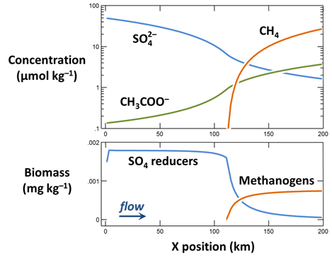 From tracers to microbial zonation, our recently completed Virtual Retreat taught the ins &amp; outs of reactive transport modeling! GWB.com/Workshops