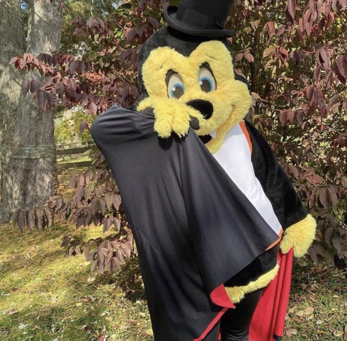 Candy is good, but I prefer honey 🍯😋 Happy #Halloween 👻