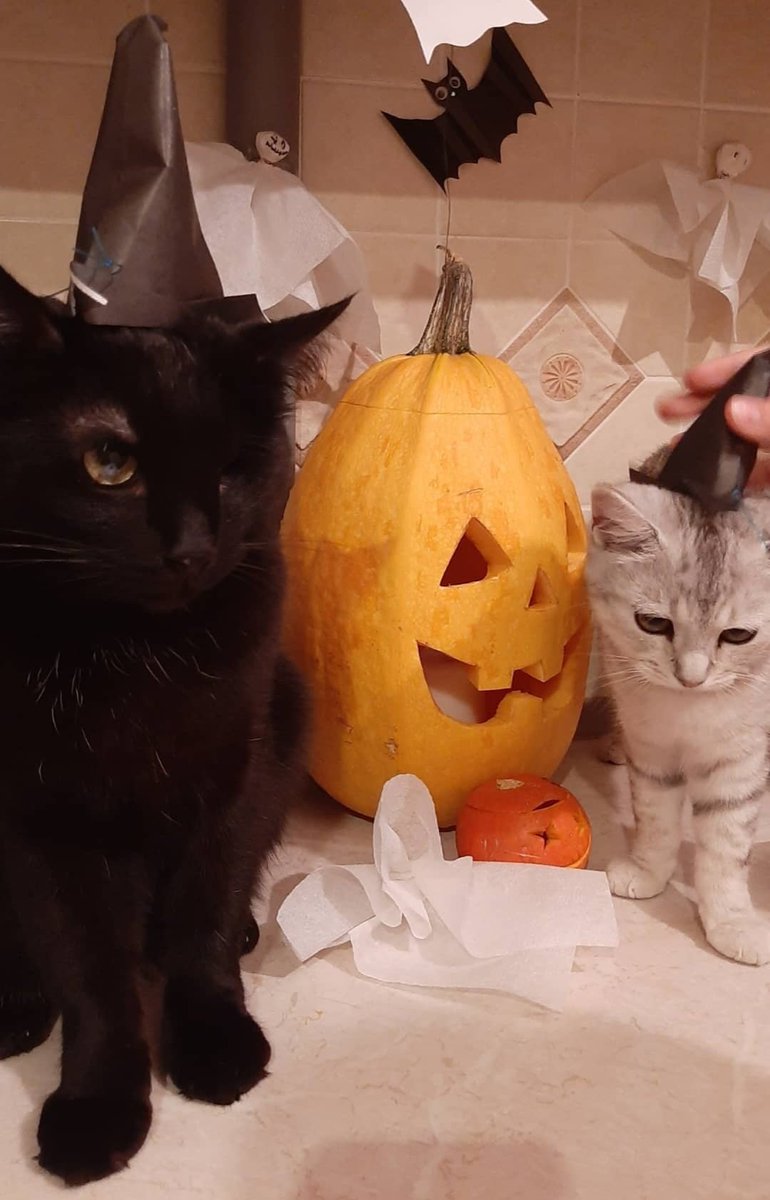 Boo 👻
(Фото давние, в этом году я просплю пожалуй праздник 😴)