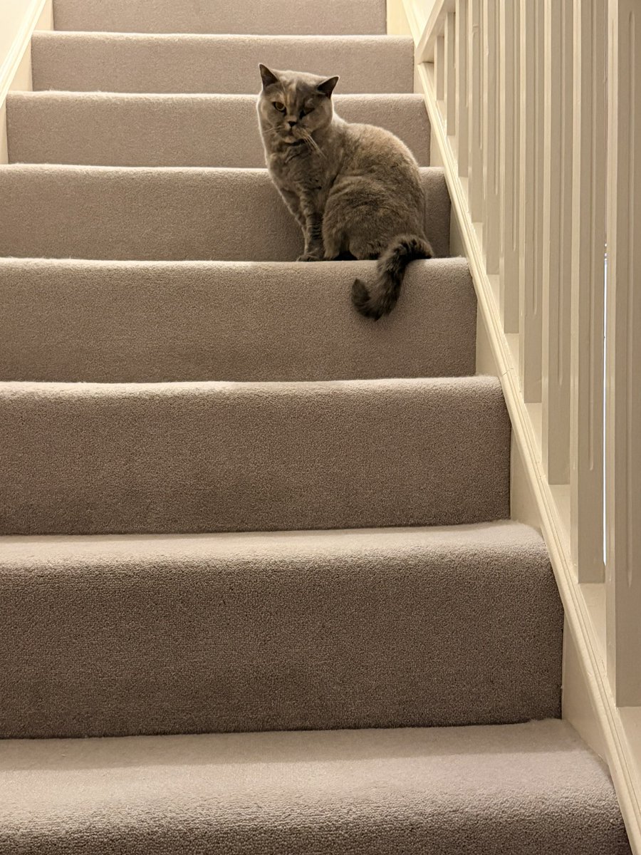 I am supervising trick or treat activity and am being a scary cat. Highlight so far was little boy telling Mumski a snail was crawling into the pumpkin’s mouth. He thought it was wonderful! 🎃