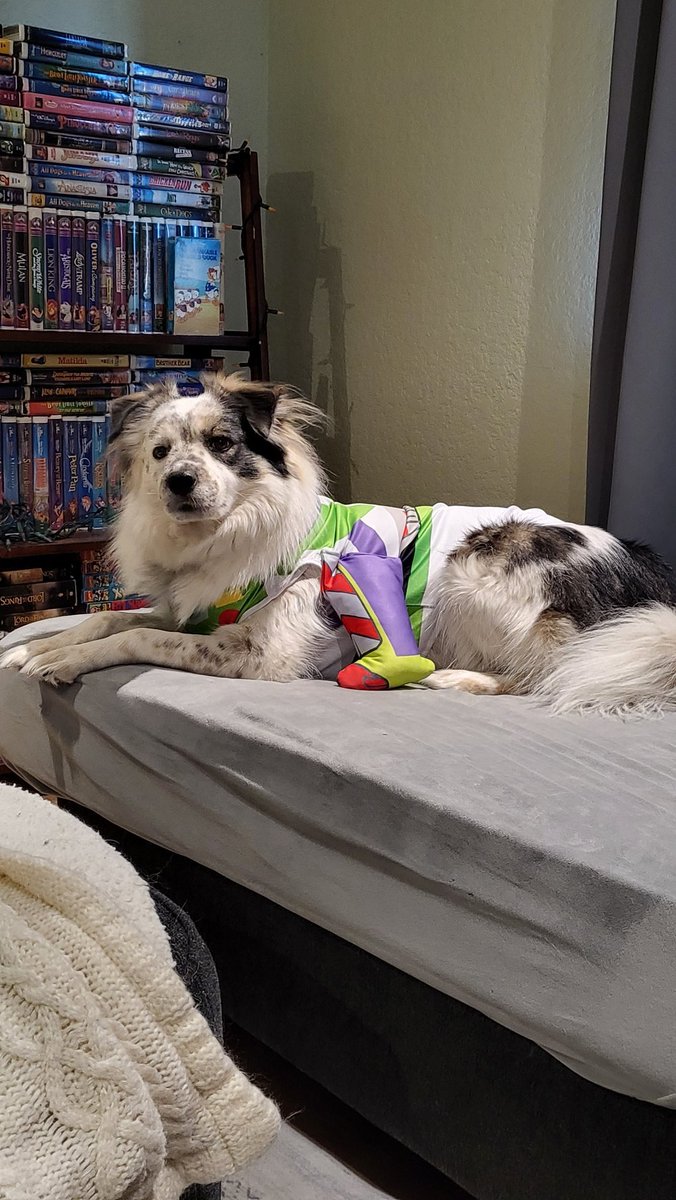 Buzz says, Happy Halloween 🎃
