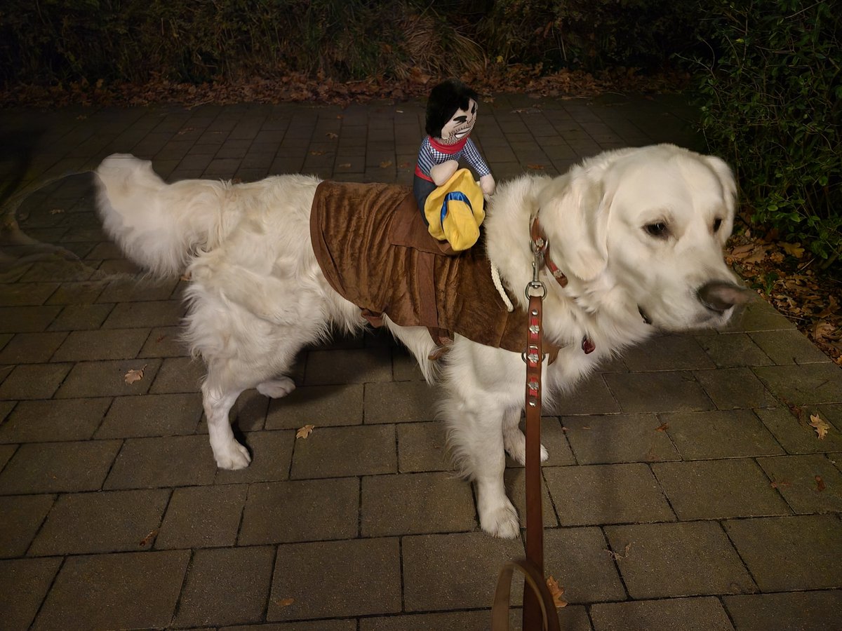 Na, habt ihr auch schön Halloween gefeiert? 🎃👻