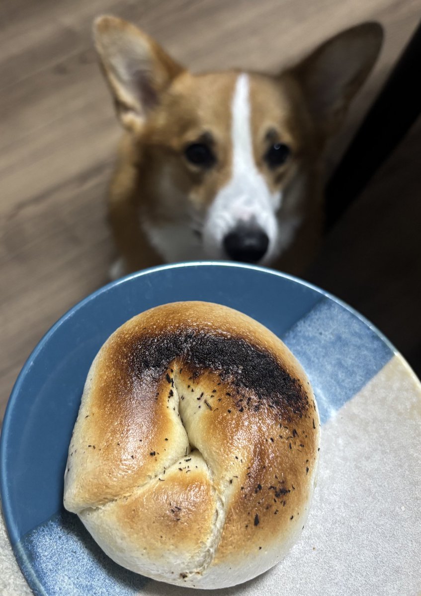 ゆかりクリチ最終日に残り3つ買い占めました🥯
だいすきすぎる🥺🩷🩷